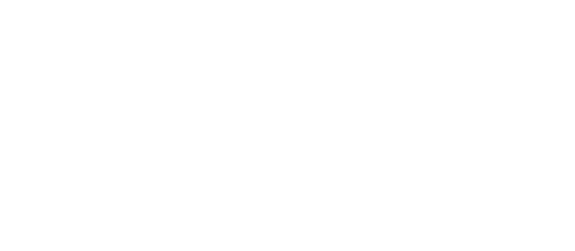 Safety-and-Security-Solutions-Logo-Footer
